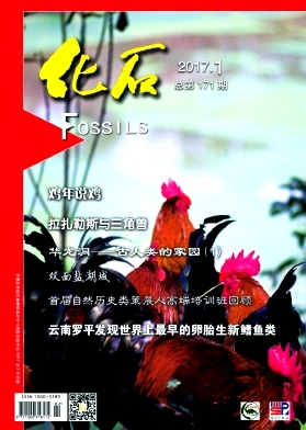 化石杂志社