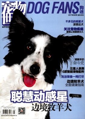 宠物世界(狗迷)杂志社