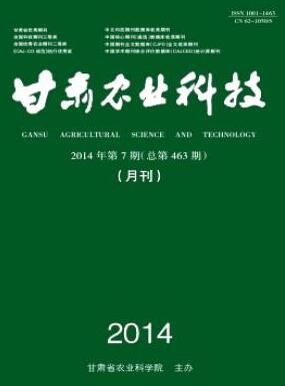 3433-1P110105P33D.jpg