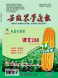 3425-1512311HJ2334.jpg