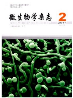 3433-1F6061HPI59.jpg